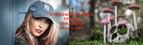 сатива Лагань