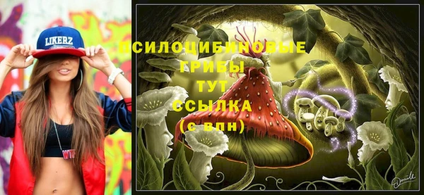 прущая мука Ладушкин