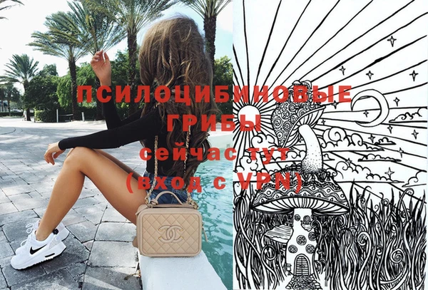 сатива Лагань