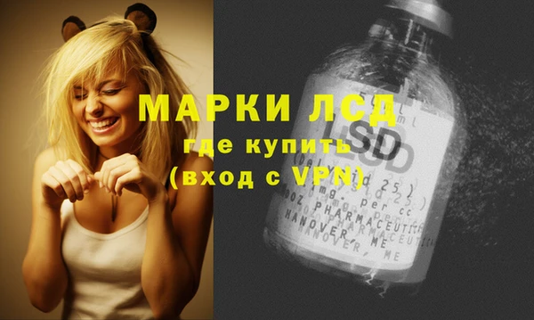 сатива Лагань